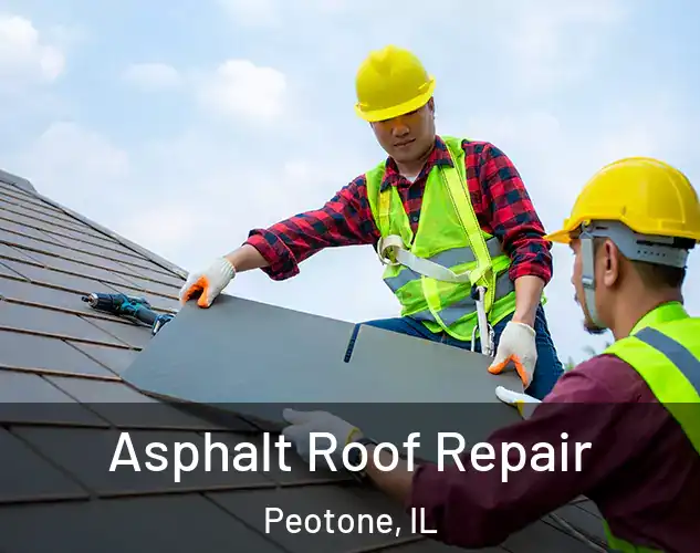  Asphalt Roof Repair Peotone, IL