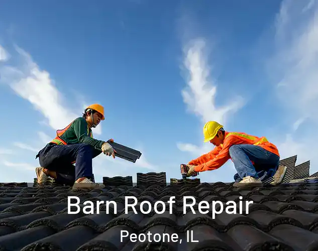  Barn Roof Repair Peotone, IL