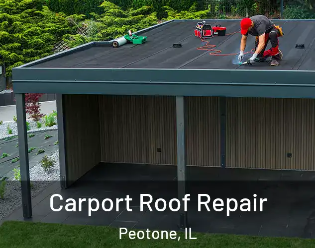  Carport Roof Repair Peotone, IL