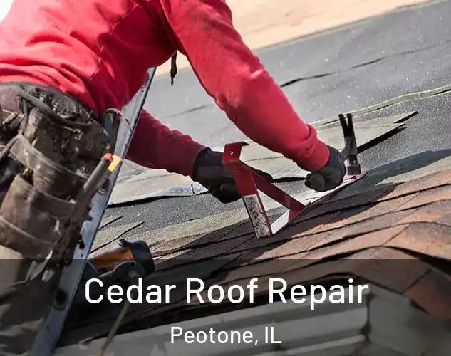  Cedar Roof Repair Peotone, IL