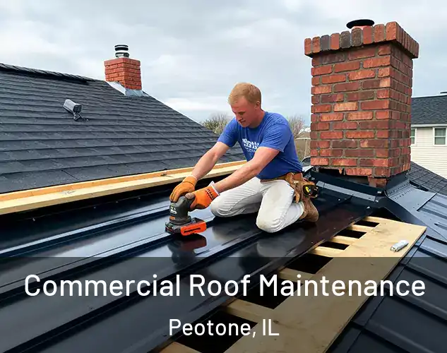  Commercial Roof Maintenance Peotone, IL