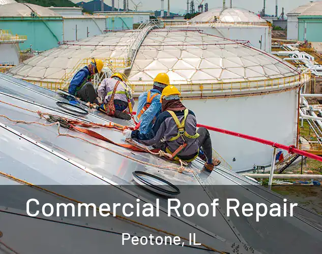  Commercial Roof Repair Peotone, IL