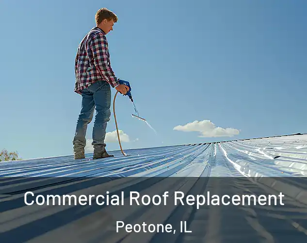  Commercial Roof Replacement Peotone, IL