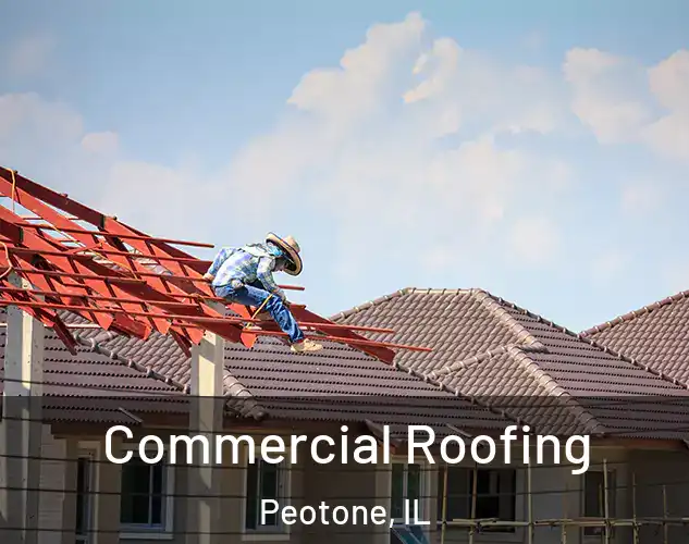  Commercial Roofing Peotone, IL