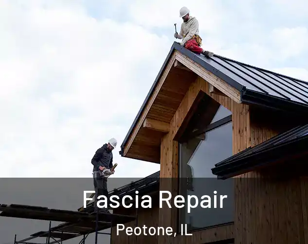  Fascia Repair Peotone, IL