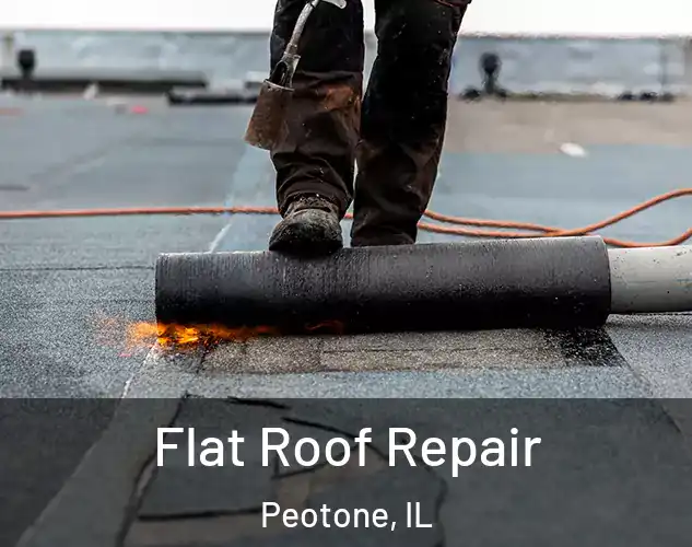  Flat Roof Repair Peotone, IL