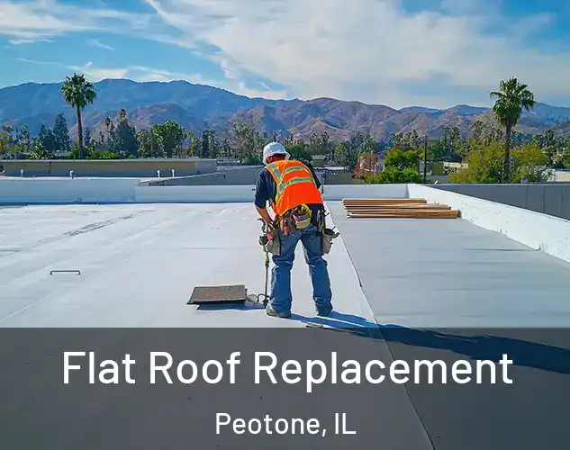  Flat Roof Replacement Peotone, IL