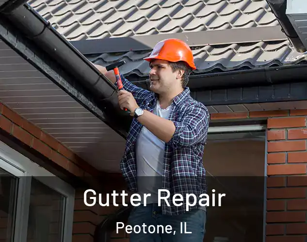  Gutter Repair Peotone, IL