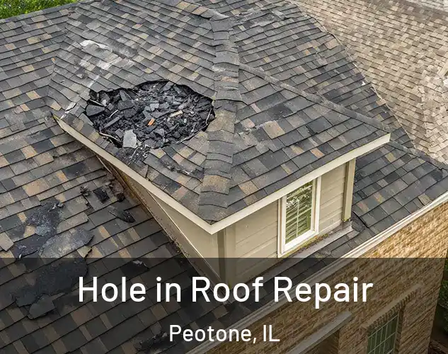  Hole in Roof Repair Peotone, IL