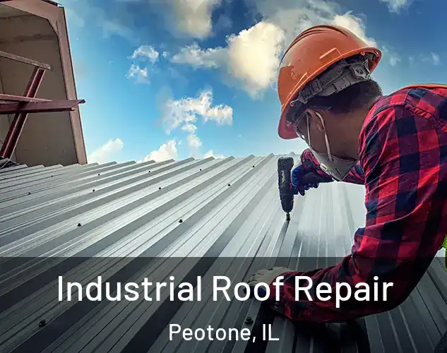  Industrial Roof Repair Peotone, IL