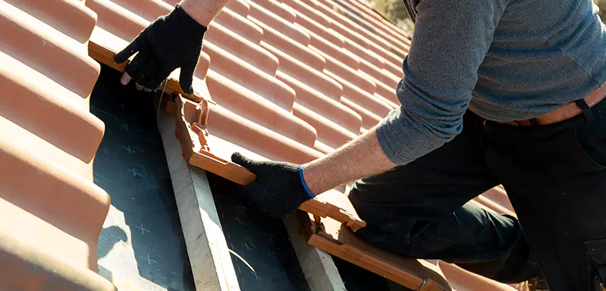 Professional Tile Roof Restoration Services in Peotone, IL