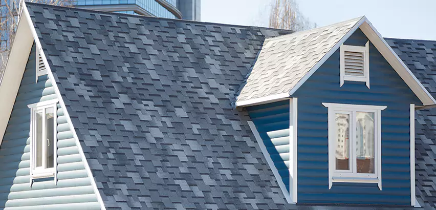 Shingle Roof Maintenance in Peotone