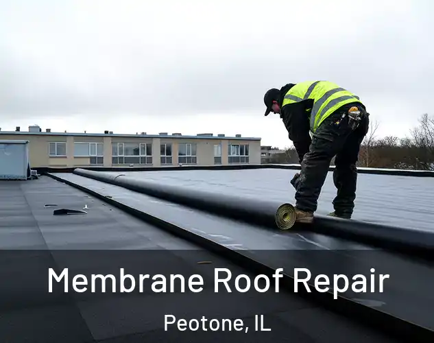  Membrane Roof Repair Peotone, IL