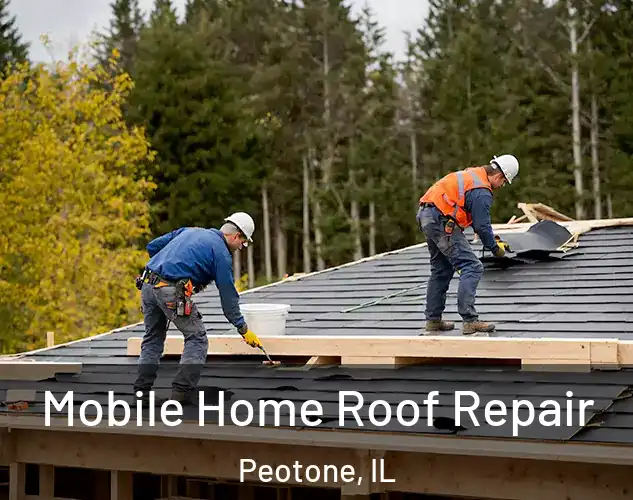  Mobile Home Roof Repair Peotone, IL