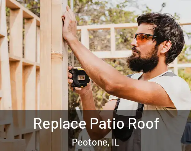  Replace Patio Roof Peotone, IL