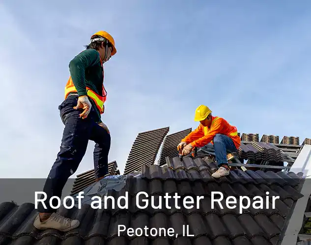  Roof and Gutter Repair Peotone, IL
