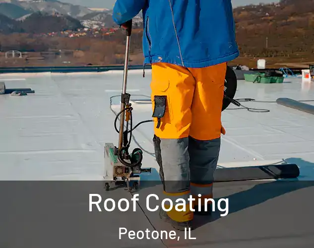  Roof Coating Peotone, IL