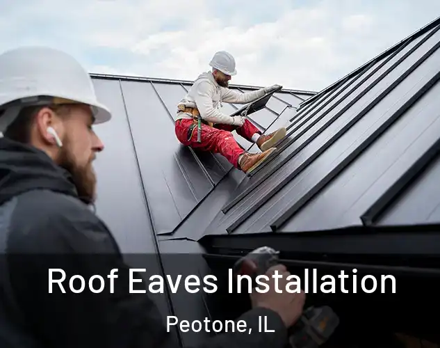  Roof Eaves Installation Peotone, IL