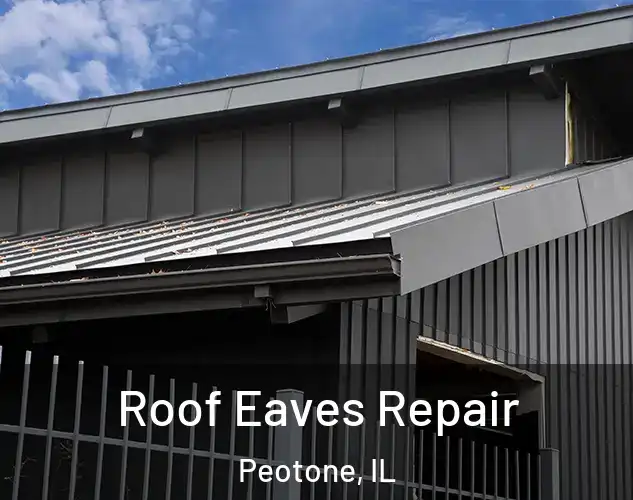  Roof Eaves Repair Peotone, IL