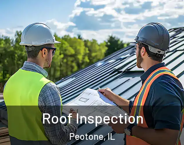  Roof Inspection Peotone, IL