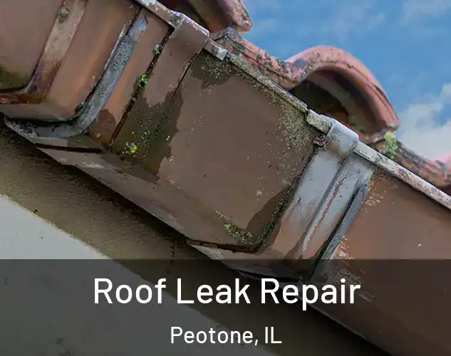  Roof Leak Repair Peotone, IL