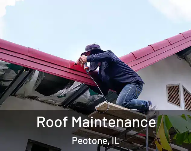  Roof Maintenance Peotone, IL