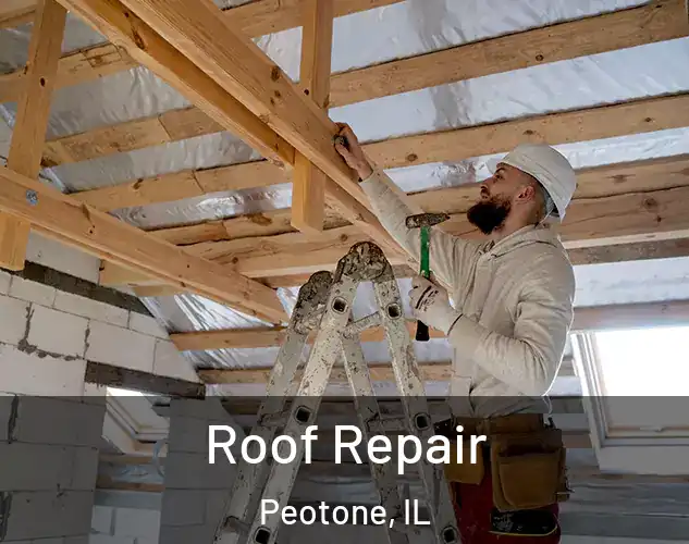  Roof Repair Peotone, IL