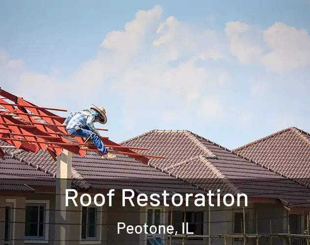  Roof Restoration Peotone, IL