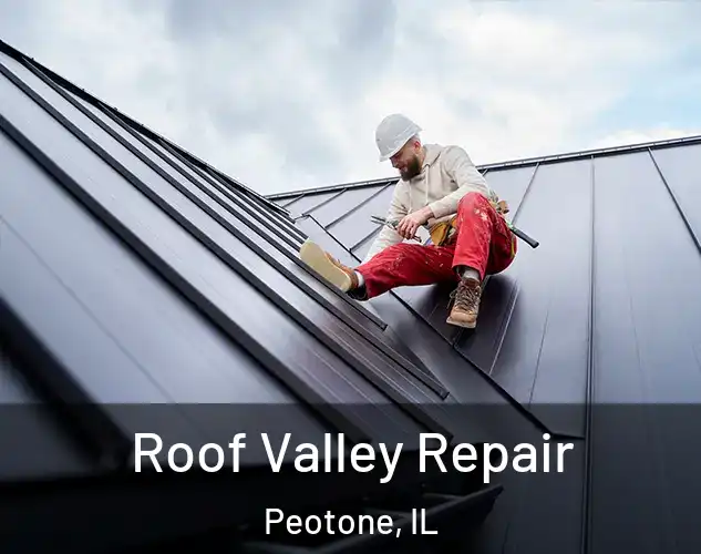 Roof Valley Repair Peotone, IL
