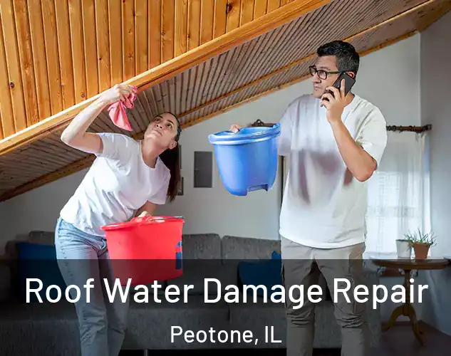  Roof Water Damage Repair Peotone, IL