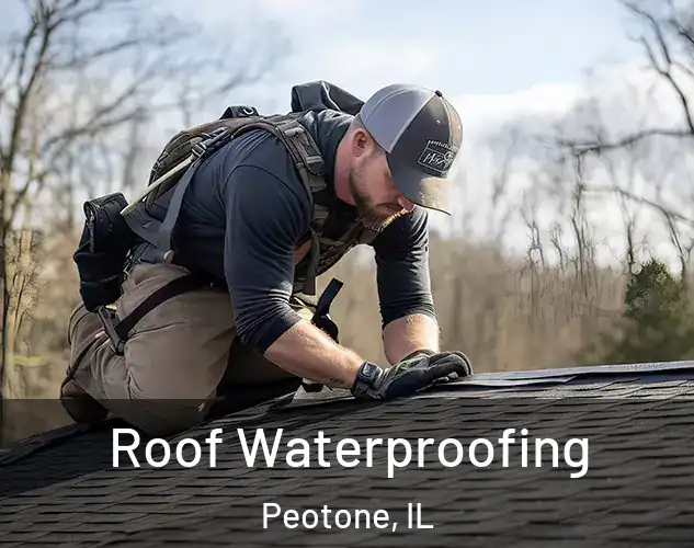  Roof Waterproofing Peotone, IL