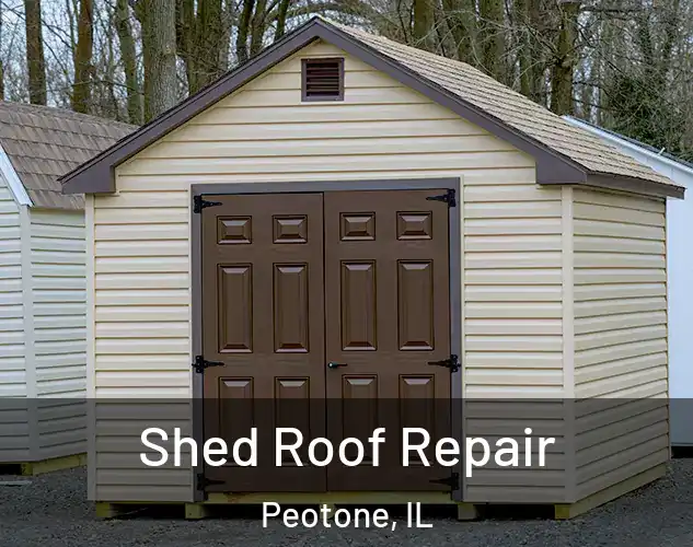  Shed Roof Repair Peotone, IL