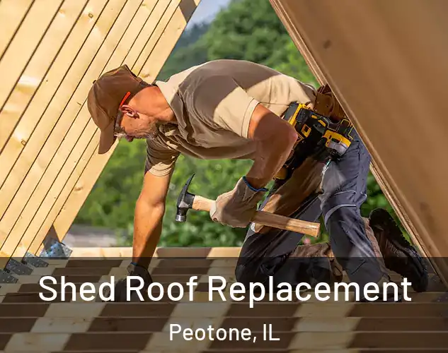  Shed Roof Replacement Peotone, IL