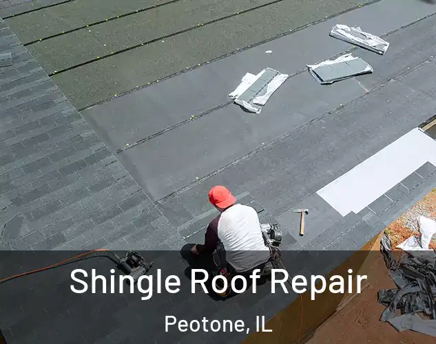  Shingle Roof Repair Peotone, IL
