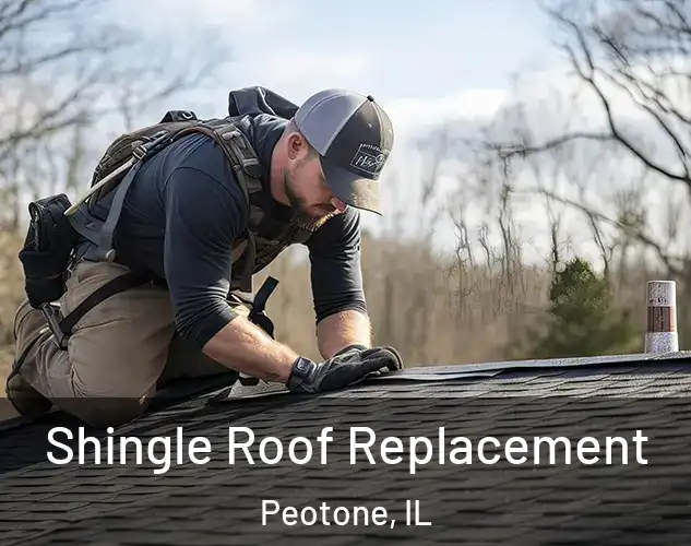  Shingle Roof Replacement Peotone, IL