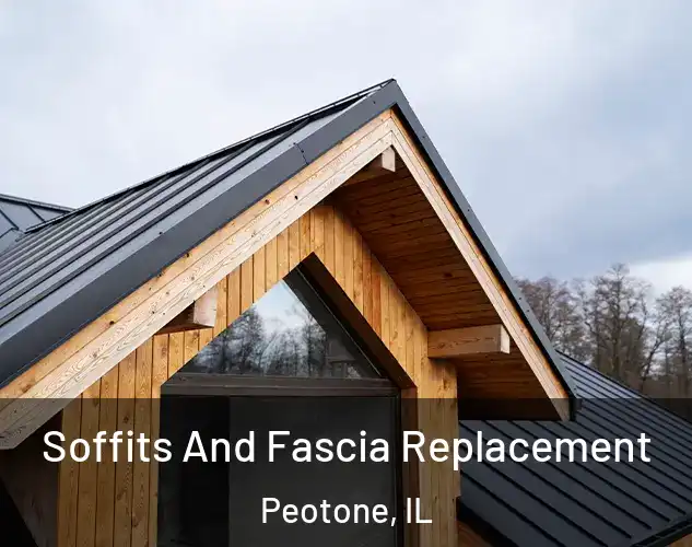  Soffits And Fascia Replacement Peotone, IL