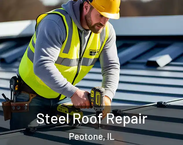  Steel Roof Repair Peotone, IL