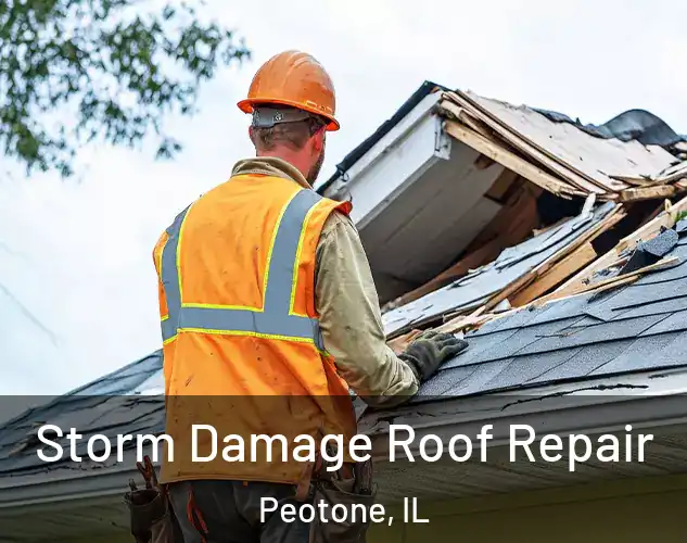  Storm Damage Roof Repair Peotone, IL