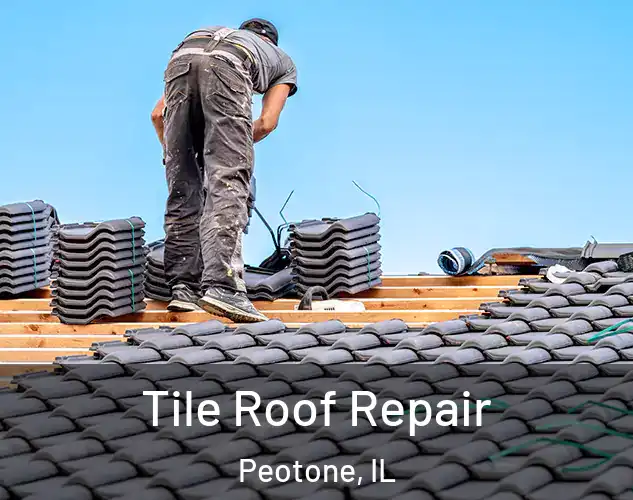  Tile Roof Repair Peotone, IL
