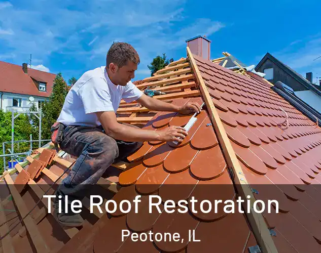  Tile Roof Restoration Peotone, IL