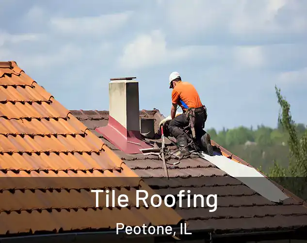  Tile Roofing Peotone, IL