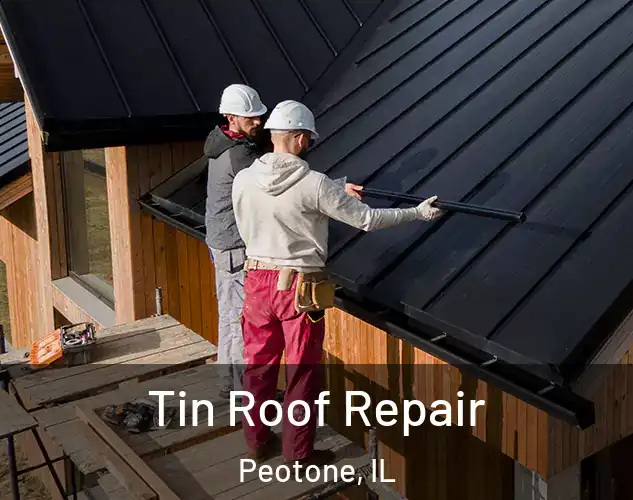  Tin Roof Repair Peotone, IL
